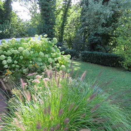 Oase Am Rosenhag Διαμέρισμα Meersburg