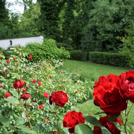 Oase Am Rosenhag *